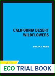 California Desert Wildflowers