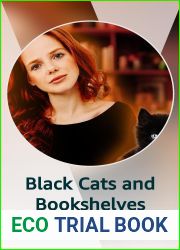 Black Cats and Bookshelves