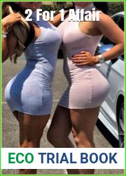 2 For 1 Affair