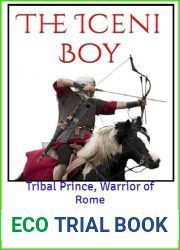 The Iceni Boy: Tribal Prince, Warrior of Rome