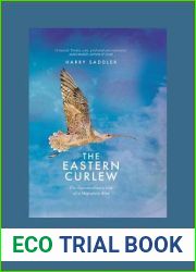 The Eastern Curlew: [Large Print 16pt Edition]