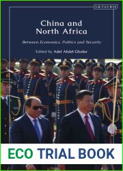 China and North Africa: Between Economics, Politics and Security