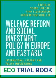 Welfare Reform and Social Investment Policy in Europe and East Asia: International Lessons and Policy Implications (Research in Comparative and Global Social Policy)