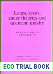 Loops, Knots, Gauge Theories and Quantum Gravity (Cambridge Monographs on Mathematical Physics)