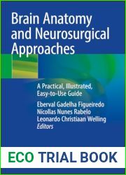 Brain Anatomy and Neurosurgical Approaches: A Practical, Illustrated, Easy-to-Use Guide
