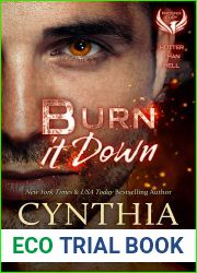 Burn It Down (Phoenix Fury Book 3)