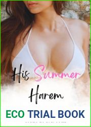 His Summer Harem: Part Four: Road Trip (His Asian Summer Harem Book 4)