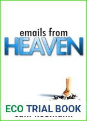 Emails from Heaven: A Novel