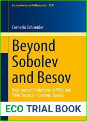 Beyond Sobolev and Besov: Regularity of Solutions of PDEs and Their Traces in Function Spaces (Lecture Notes in Mathematics Book 2291)