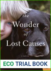 The Wonder of Lost Causes