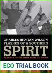 Flashes of a Southern Spirit: Meanings of the Spirit in the U.S. South
