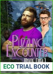 Puzzling Encounters (Mystic Pines, #3)
