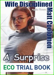 Wife Disciplined : A Surprise Gift (Again Please Book 2)