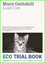 Lost Cat