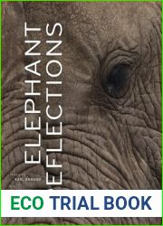 Elephant Reflections