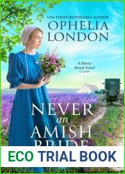 Never an Amish Bride (Honey Brook #1)