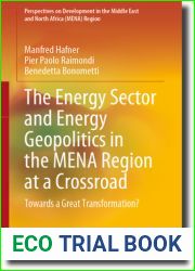 The Energy Sector and Energy Geopolitics in the MENA Region at a Crossroad: Towards a Great Transformation? (Perspectives on Development in the Middle East and North Africa (MENA) Region)
