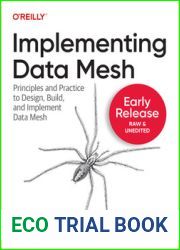 Implementing Data Mesh: Principles and Practice to Design, Build, and Implement Data Mesh