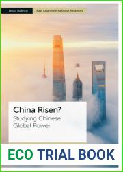 China Risen?: Studying Chinese Global Power (Bristol Studies in East Asian International Relations)