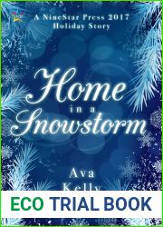 Home in a Snowstorm (Snow Globes, #1)