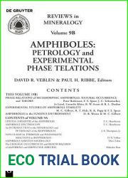 Amphiboles: Petrology and Experimental Phase Relations (Reviews in Mineralogy and Geochemistry, 9B)