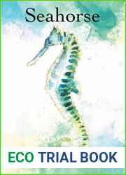 Seahorse