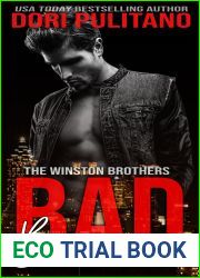Bad Business (The Winston Brothers)