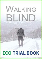 Walking Blind