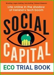 Social Capital: Life online in the shadow of Ireland|s tech boom