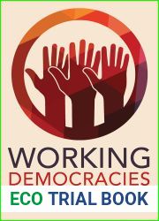 Working Democracies: Managing Inequality in Worker Cooperatives