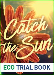 Catch the Sun