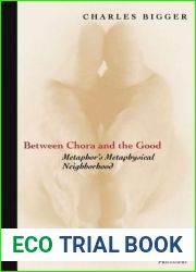 Between Chora and the Good: Metaphor|s Metaphysical Neighborhood (Perspectives in Continental Philosophy)