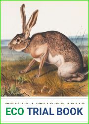 Texas Lithographs