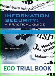 Information Security A Practical Guide: Information Security A Practical Guide - Bridging the gap between IT and management