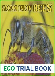 Zoom in on Bees (Zoom in on Insects!)