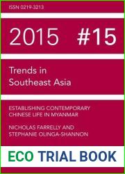 Establishing Contemporary Chinese Life in Myanmar (Trends in Southeast Asia)