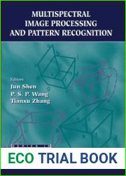 Multispectral Image Processing And Pattern Recognition
