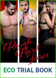 Rough Hard Fierce (Chicago Underground, #1-3)