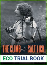 The Climb from Salt Lick: A Memoir of Appalachia