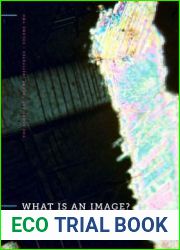 What Is an Image? (The Stone Art Theory Institutes)