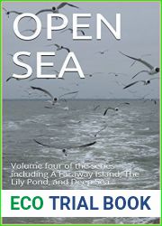 Open Sea
