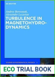 Turbulence in Magnetohydrodynamics (De Gruyter Studies in Mathematical Physics, 12)