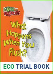 What Happens When You Flush? (How It Works)