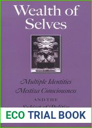 Wealth of Selves: Multiple Identities, Mestiza Consciousness, and the Subject of Politics (Volume 14) (Rio Grande Rio Bravo: Borderlands Culture and Traditions)