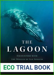The Lagoon: Encounters with the Whales of San Ignacio