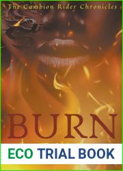 Burn (The Cambion Rider Chronicles, #2)