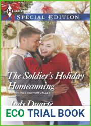 The Soldier|s Holiday Homecoming (Return to Brighton Valley, 3)