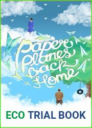 Paper Planes Back Home