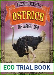 Ostrich: The Largest Bird
