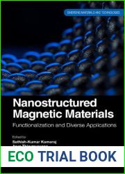 Nanostructured Magnetic Materials